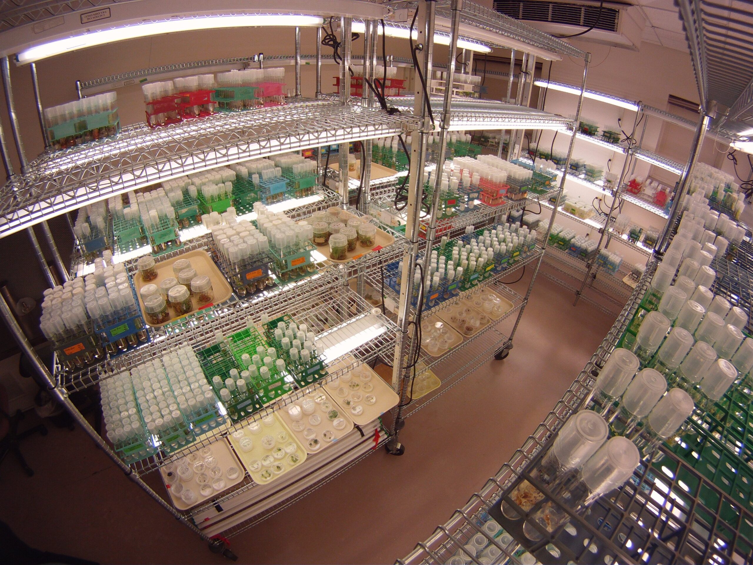 CREW plant growth chamber (Photo: Suzanne Yorke)