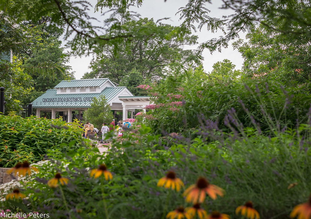 flowers in front of the Zoo's main entrance