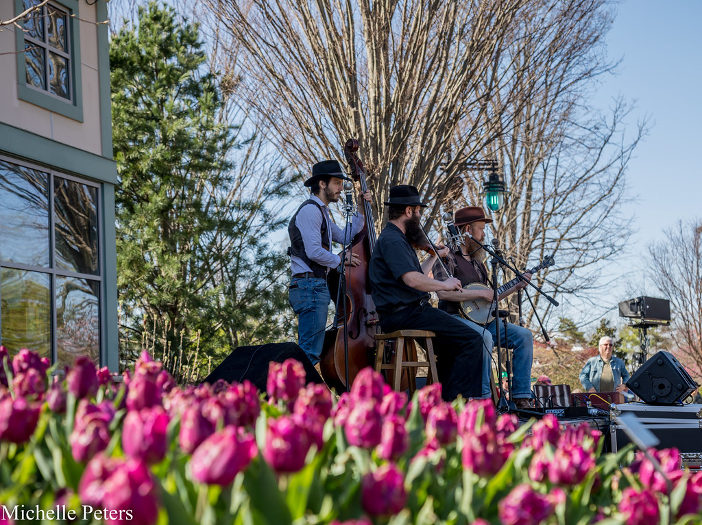 tunes & blooms