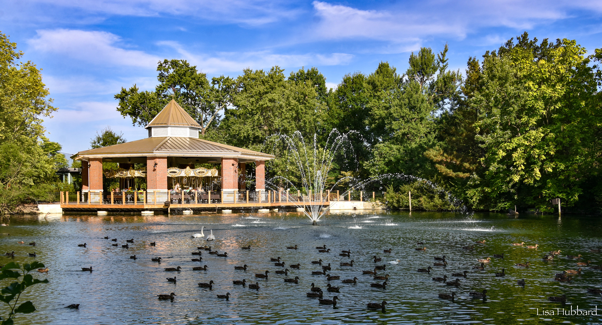 carousel with a fountain and ducks in foreground
