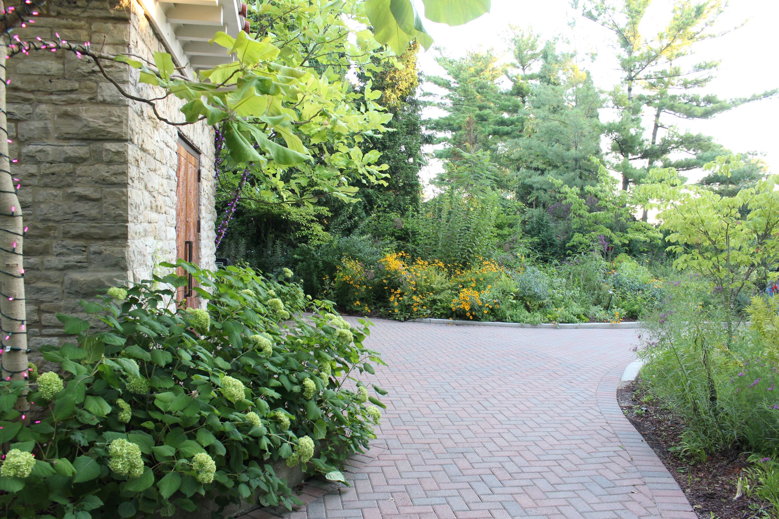 native plants surrounding historical passenger pigeon building