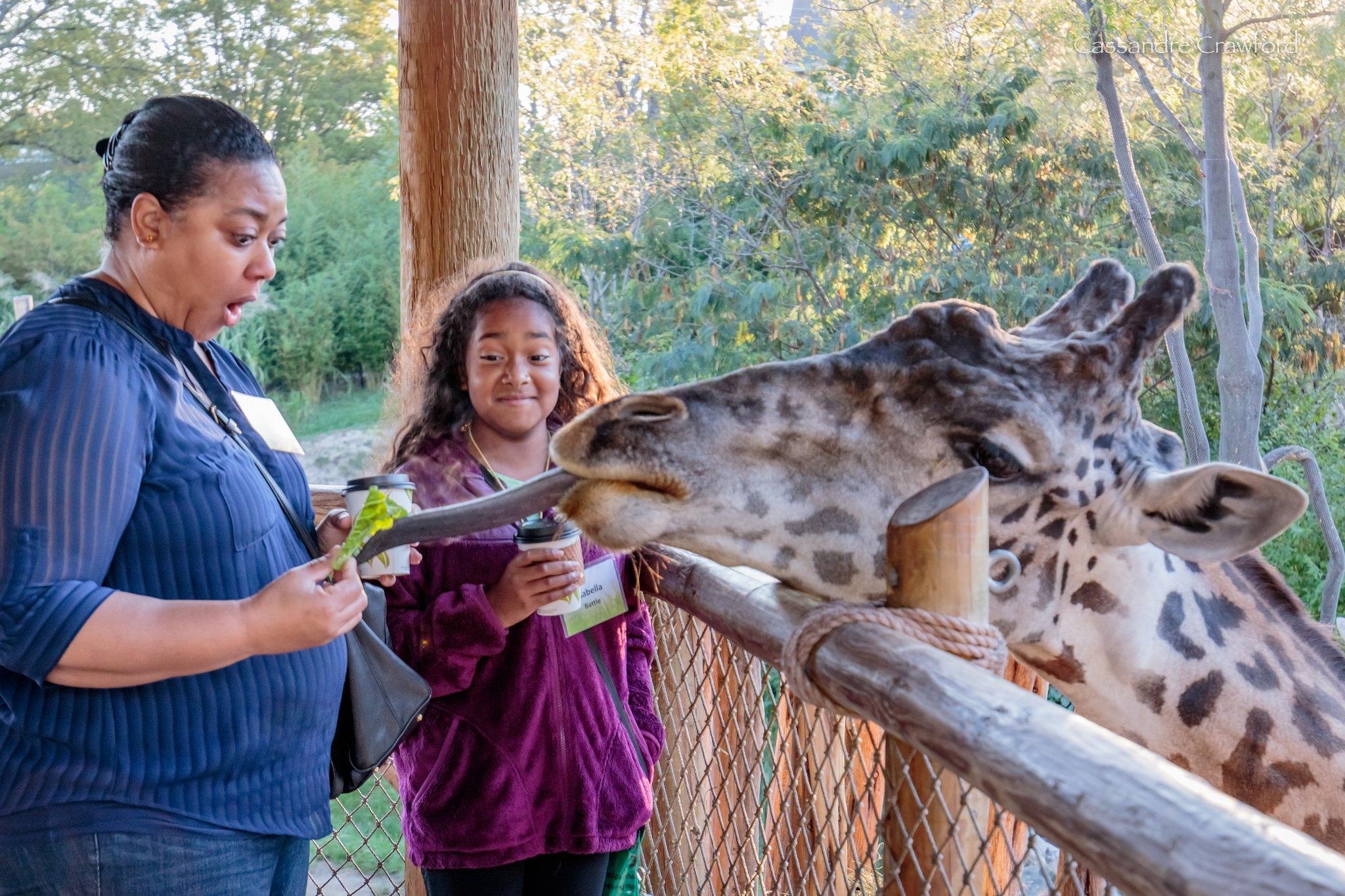 woman and child feeding a giraffe