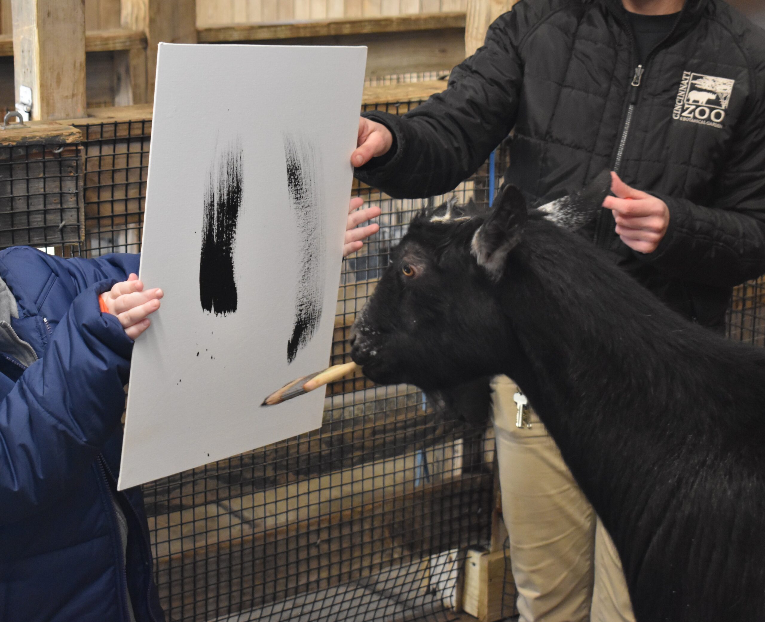 goat holding a paintbrush in its mouth