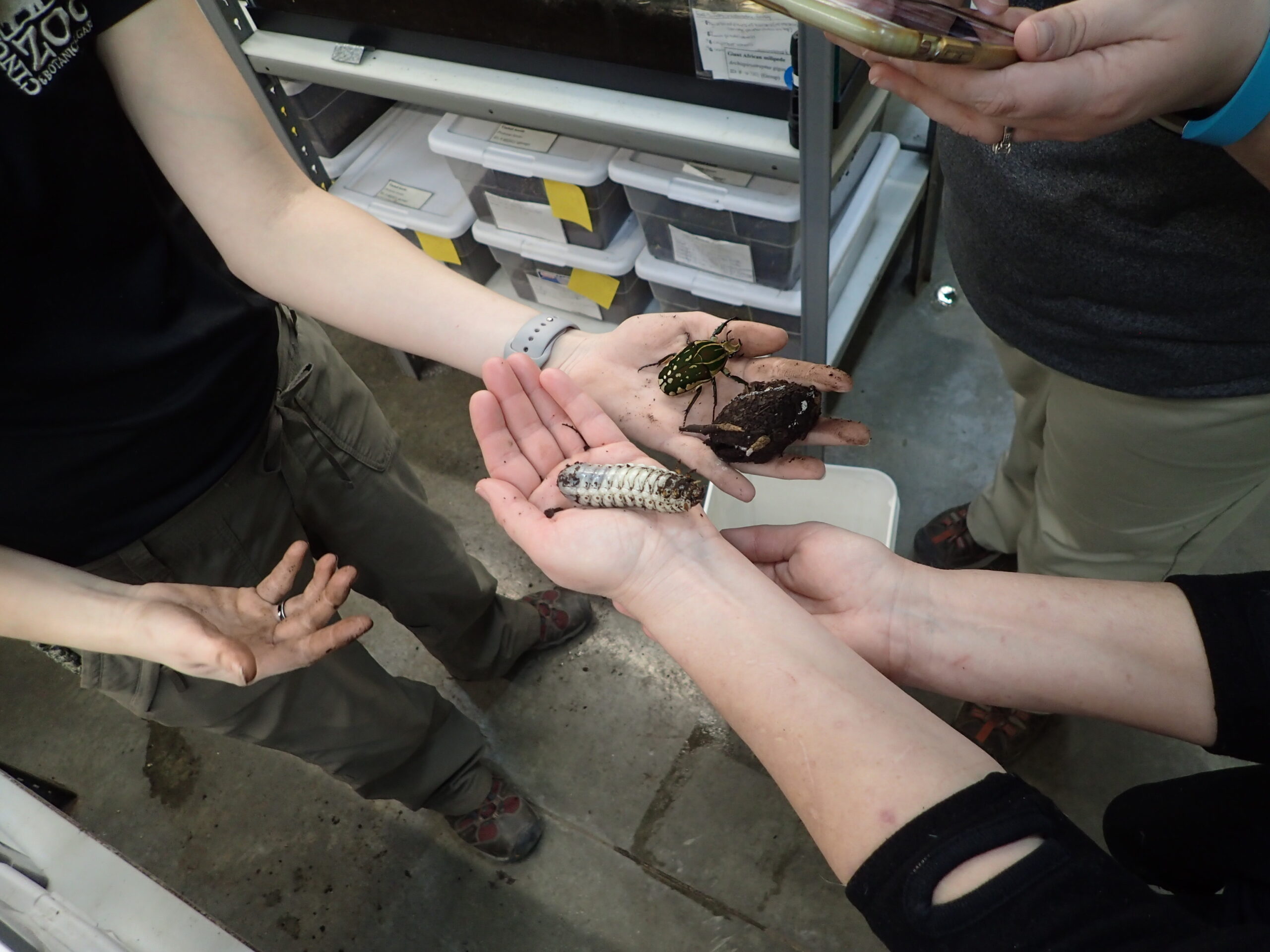 keepers holding insects