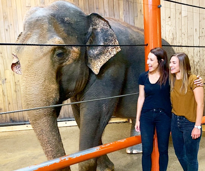 two friends smiling at mai thai the elephant