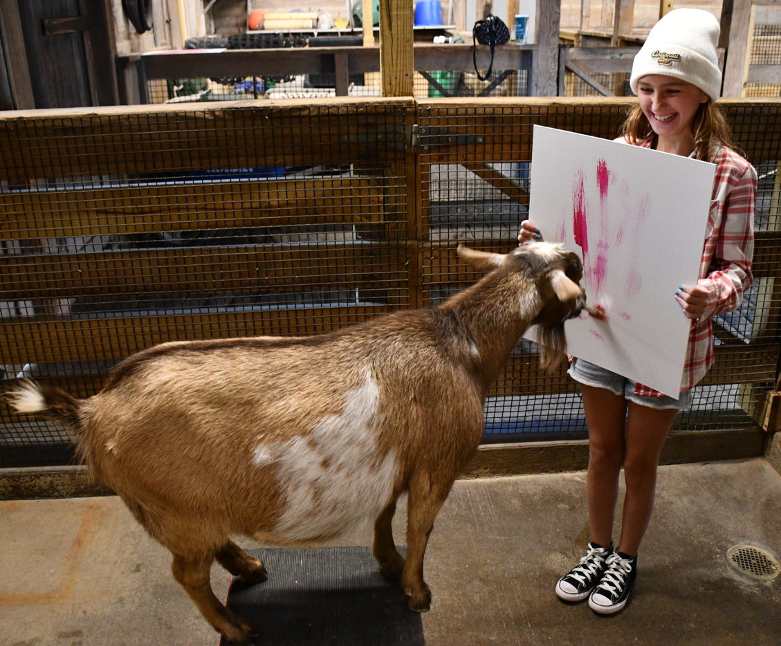 goat painting